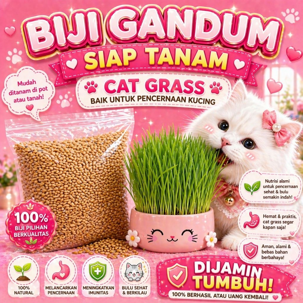 GANDUM 1 KG - Biji Wheatgrass Benih Catgrass Rumput Kucing Makanan Kucing Rumput Diet Camilan Snack 