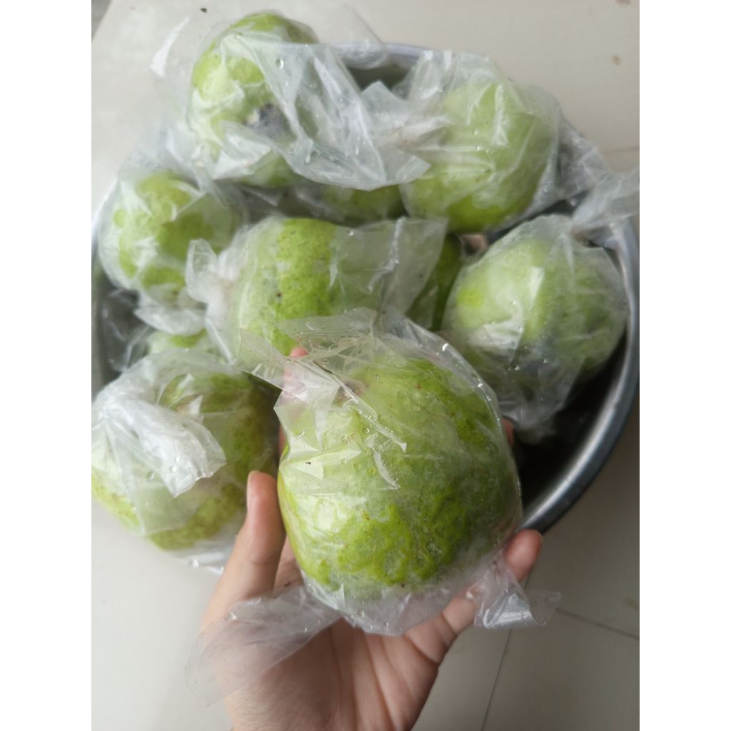 Jambu Kristal Manis Tanpa Biji 1kg