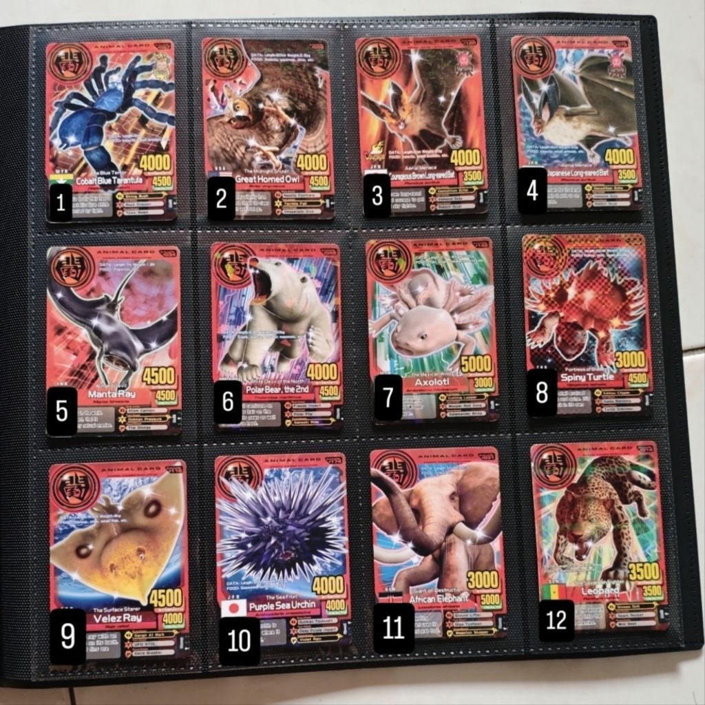 Kartu Animal Kaiser | Animal | Strong | Miracle Card | 100% Original