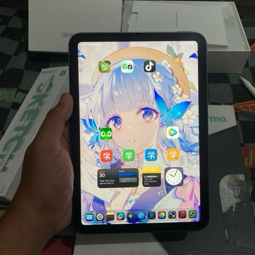 Apple iPad Mini 6 CPO 256gb Inter wifi