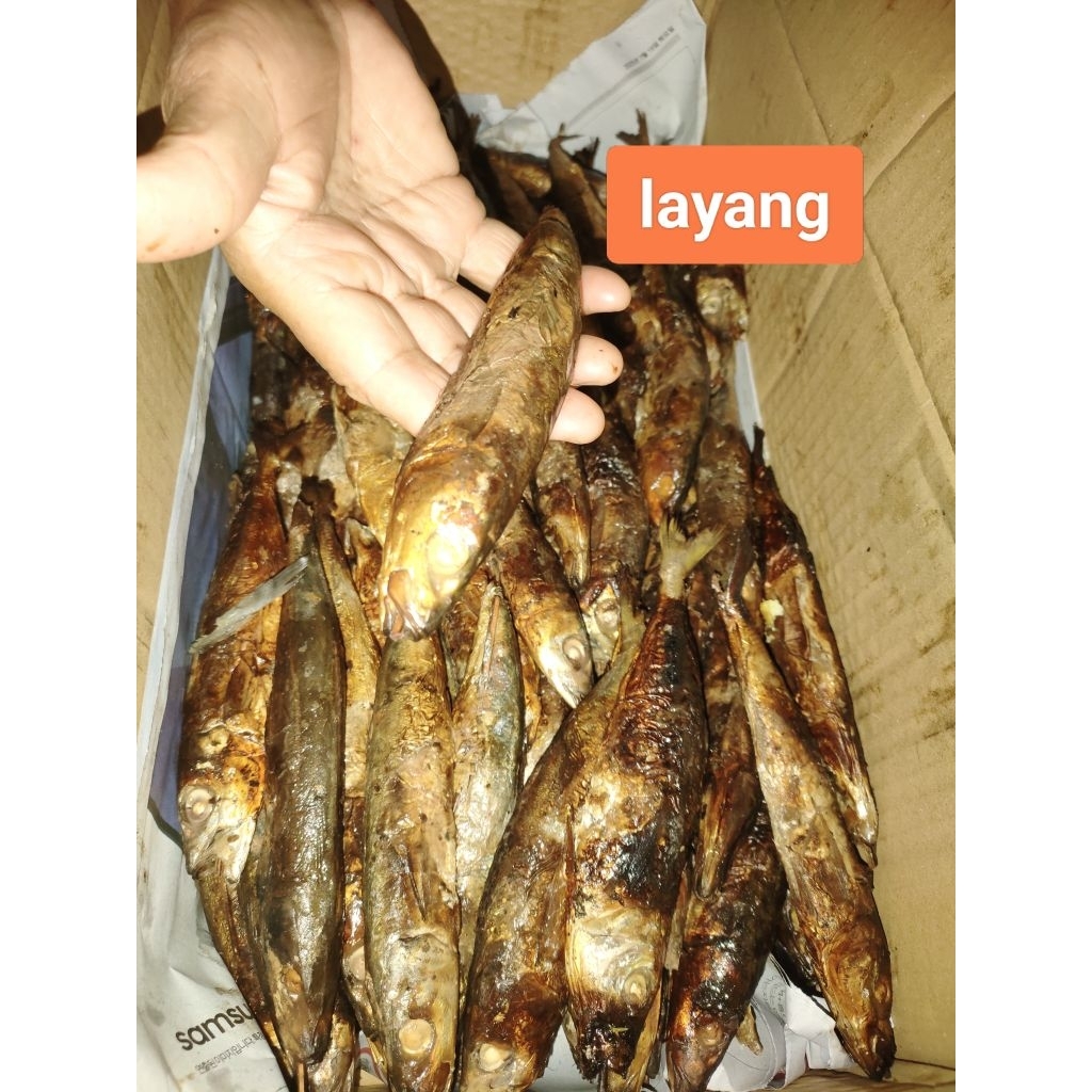 [Karawang]Ikan asap layang frozen