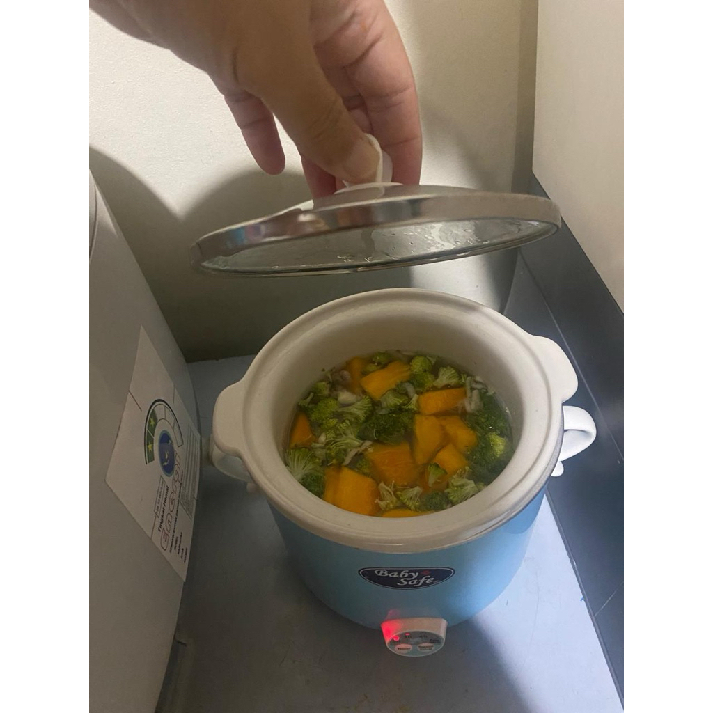 Preloved Baby Safe Slow Cooker