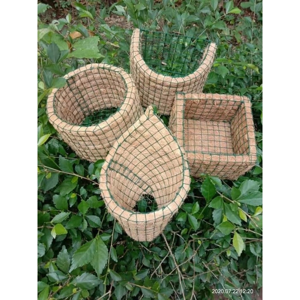 Pot Dinding Serabut Kelapa Unik Keong Kerucut - Pot Serabut Kelapa Tempel, Pot Anggrek, Pot Dinding