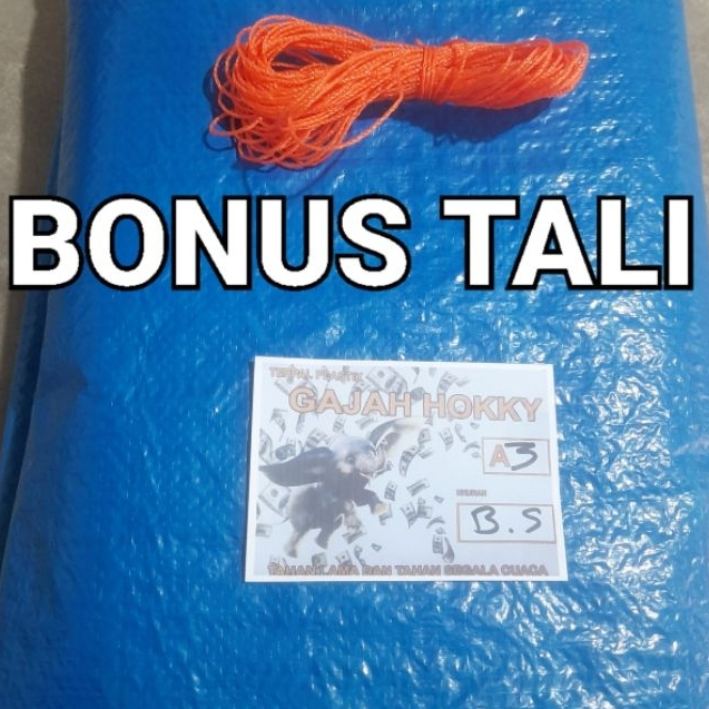 Terpal Tenda 5x10 A3 Terpal Jemur Padi Terpal Kolam Ikan