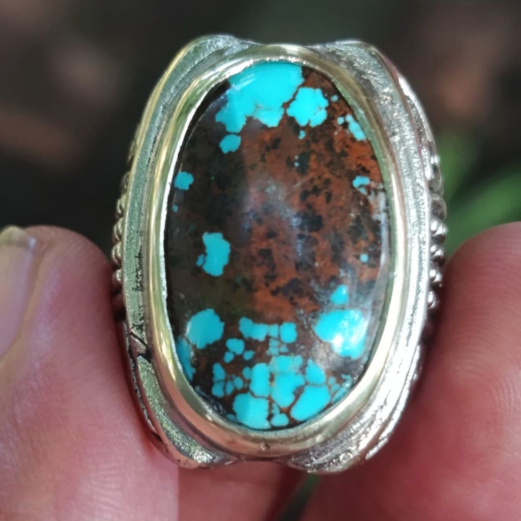 Pirus Persia Biru Fancy Lawasan Berkarakter