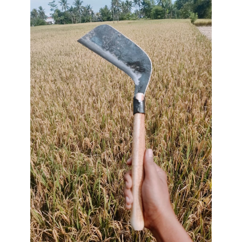 Arit Parang Rumput Kebun Sawah Alat Potong Rumput Manual Pertanian
