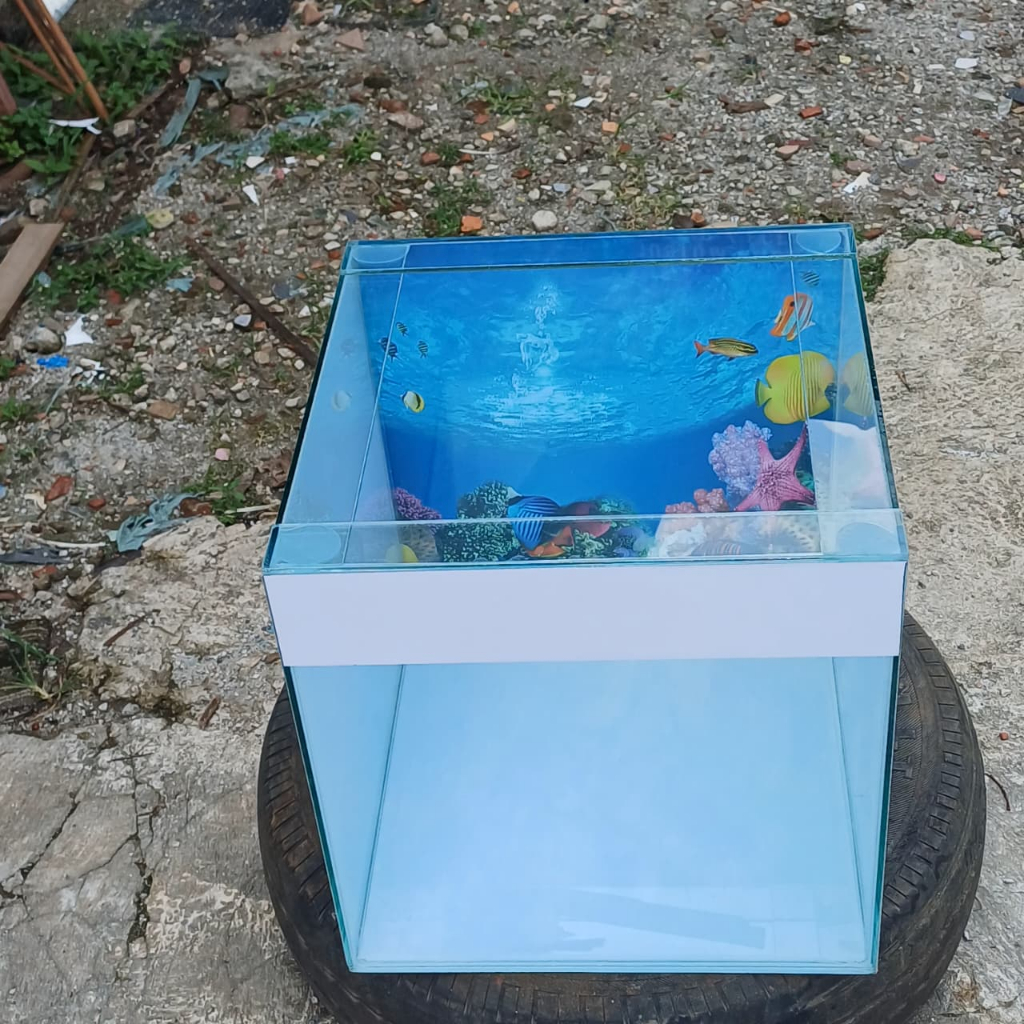 aquarium kaca 50x40x50