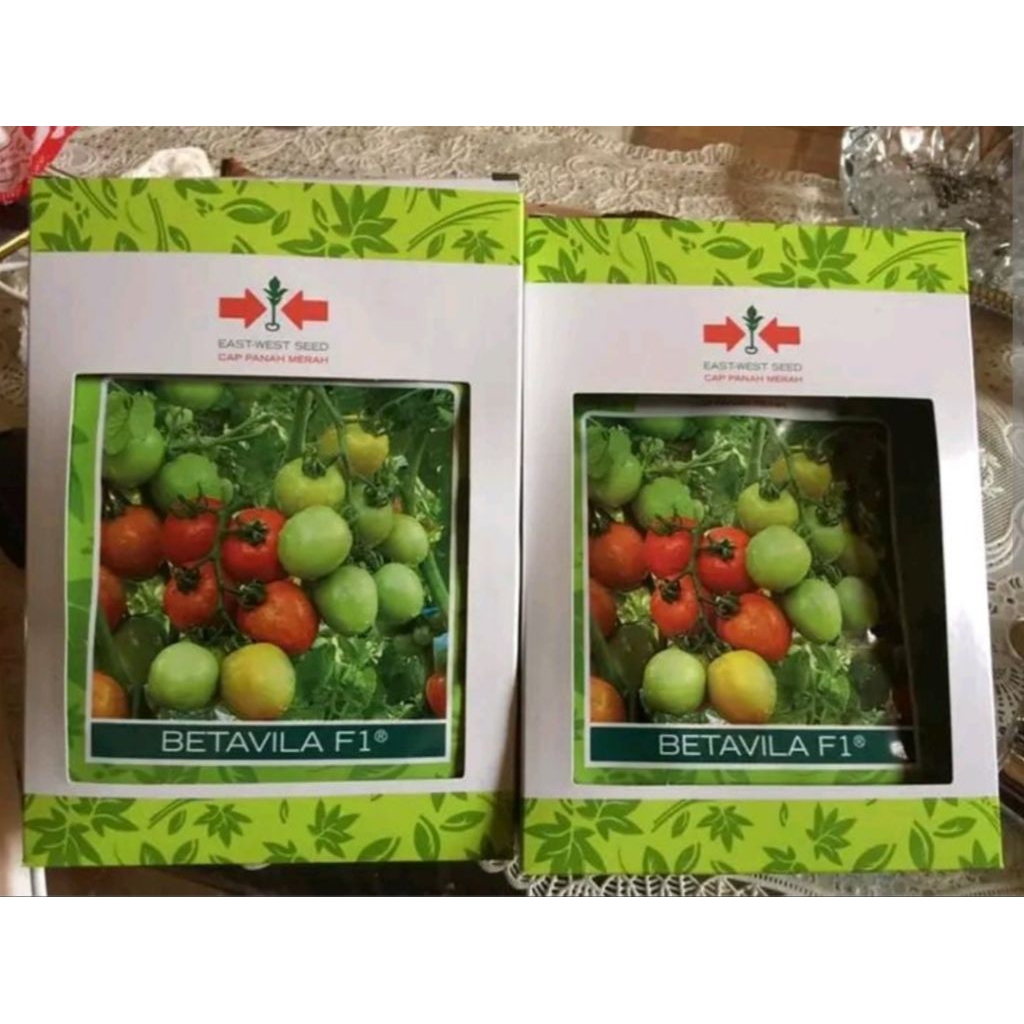 benih tomat betavila f1/10 gram