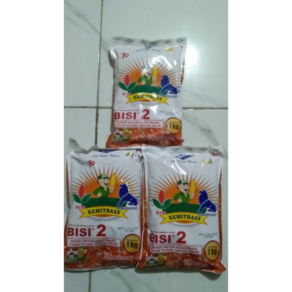 BENIH JAGUNG HIPRIDA BISI 2