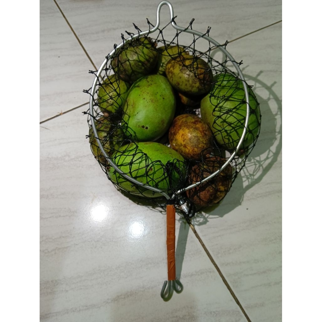 Alat petik buah mangga kedondong dll