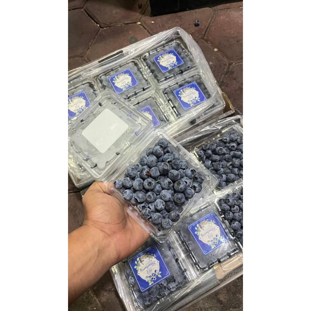 BLUEBERRY FRESH 1 PACK