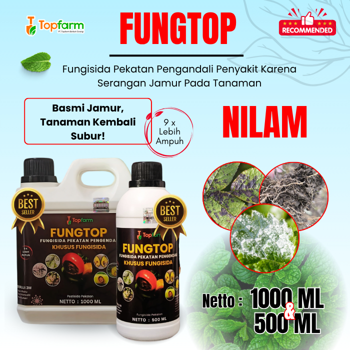 Fungisida Jamur Daun Nilam / Fungisida Bercak Daun Nilam / Obat Jamur Topfarm / Obat Jamur Daun Nila