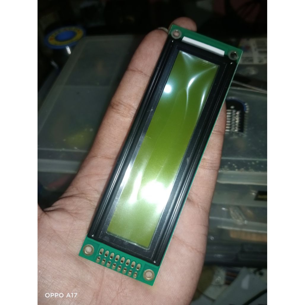 LCD DLMS ASHLY Protea