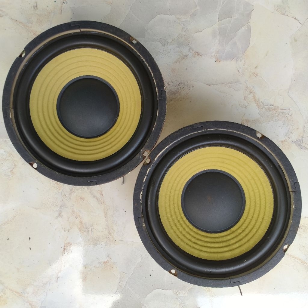 Speaker Subwoofer PSW 300