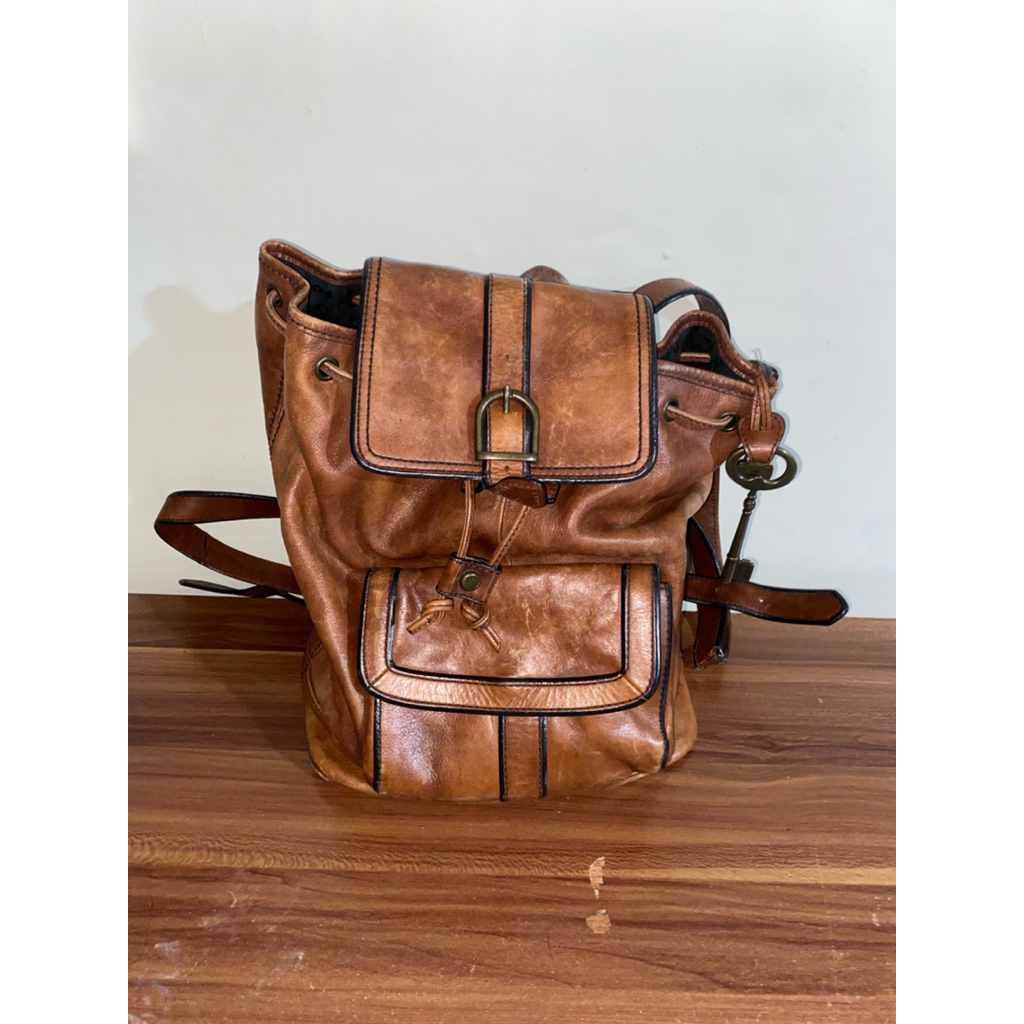 preloved papilon