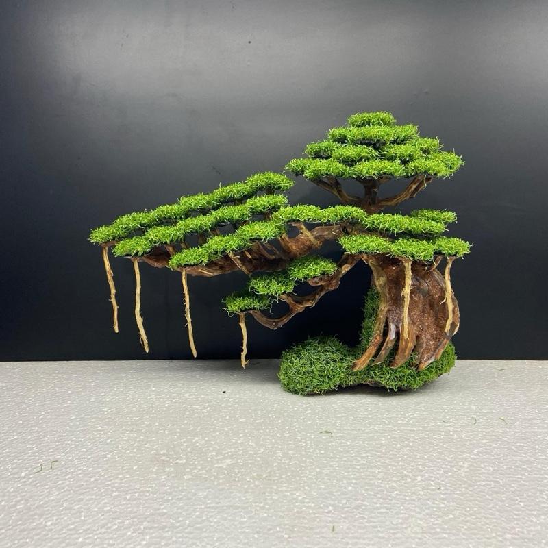 SIZE L besar PxT (33x22) | Bonsai Aquarium / Aquascape / Bonsai Artificial