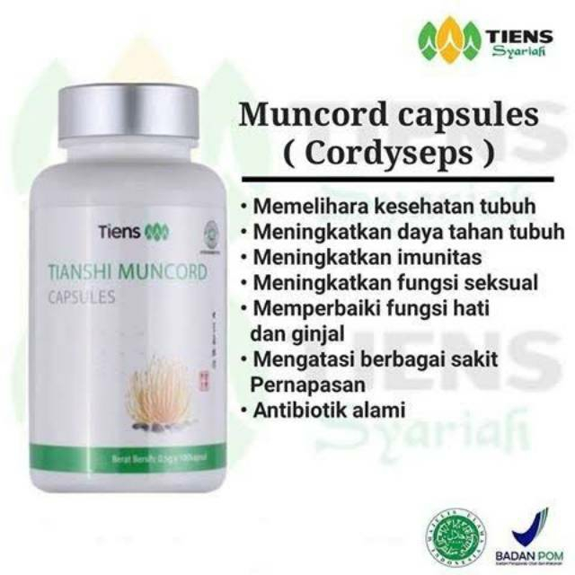 {TERLARIS} Muncord capsules ECER tiens obat asma | obat batu ginjal | suplemen stamina | vitamin day