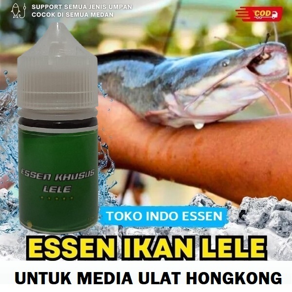 ESSEN IKAN LELE MEDIA ULAT HONGKONG - UMPAN LELE GACOR HARIAN & LOMBA