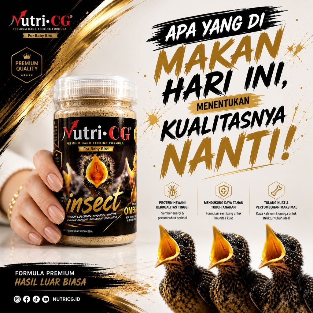 NutriCG Insect pakan lolohan murai batu cucak rowo branjangan sogon cendet sebagai pengganti kroto