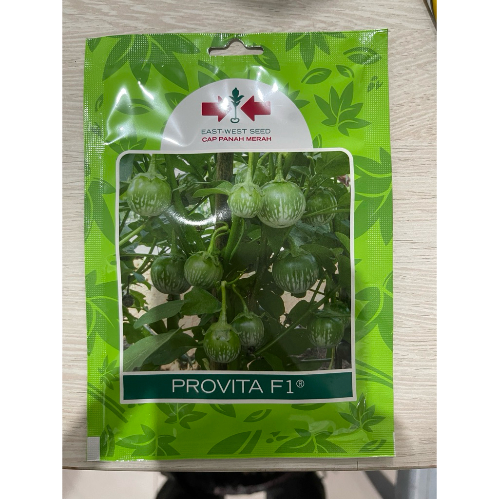 bibit benih terong Provita F1 lalap/gelatik kemasan 400 butir
