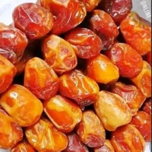 kurma 1 toples