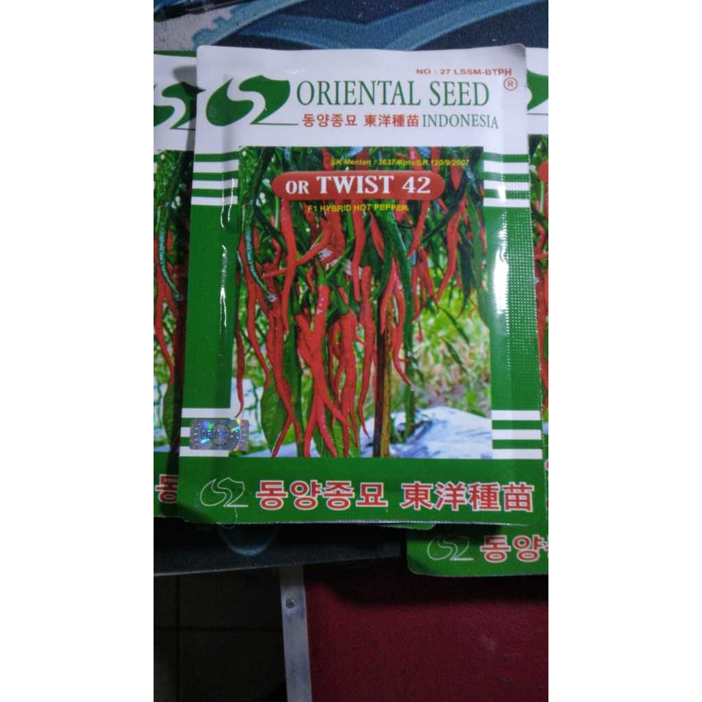 Benih Cabe Keriting Oriental Seed 42 ORI ASLI