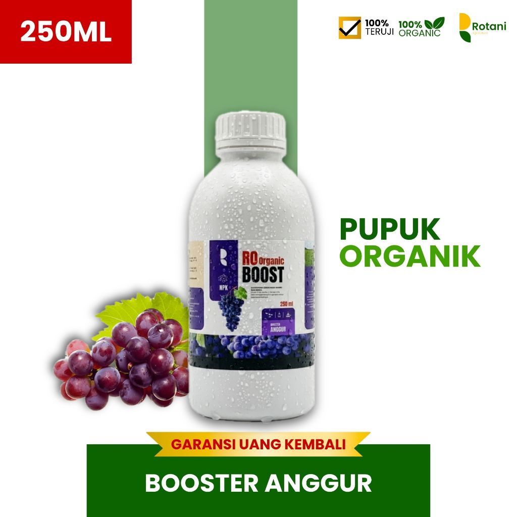 POC Pupuk Cair Booster Anggur Agar Cepat Berbuah Lebat Manis - Nutrisi Pelebat & Penyubur Tanaman An