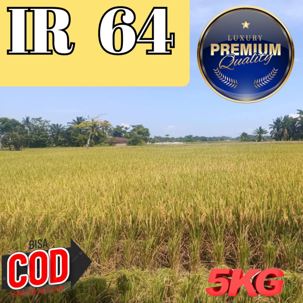 Bibit Benih Padi IR 64 Berkualitas Unggul Premium Nasi Pulen Kemasan 5kg