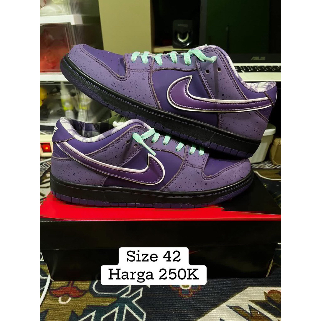 SB Lobster size 42 26.5