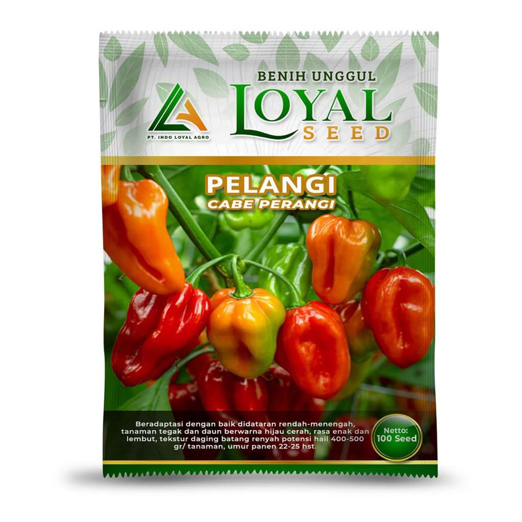 Benih Cabe Pelangi / Benih Cabe Perenggi / Benih Loyal /Bibit Cabe Pelangi / Bibit Cabe peranggi / B