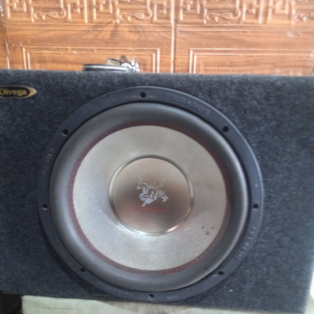 subwofer 12 inch copotan