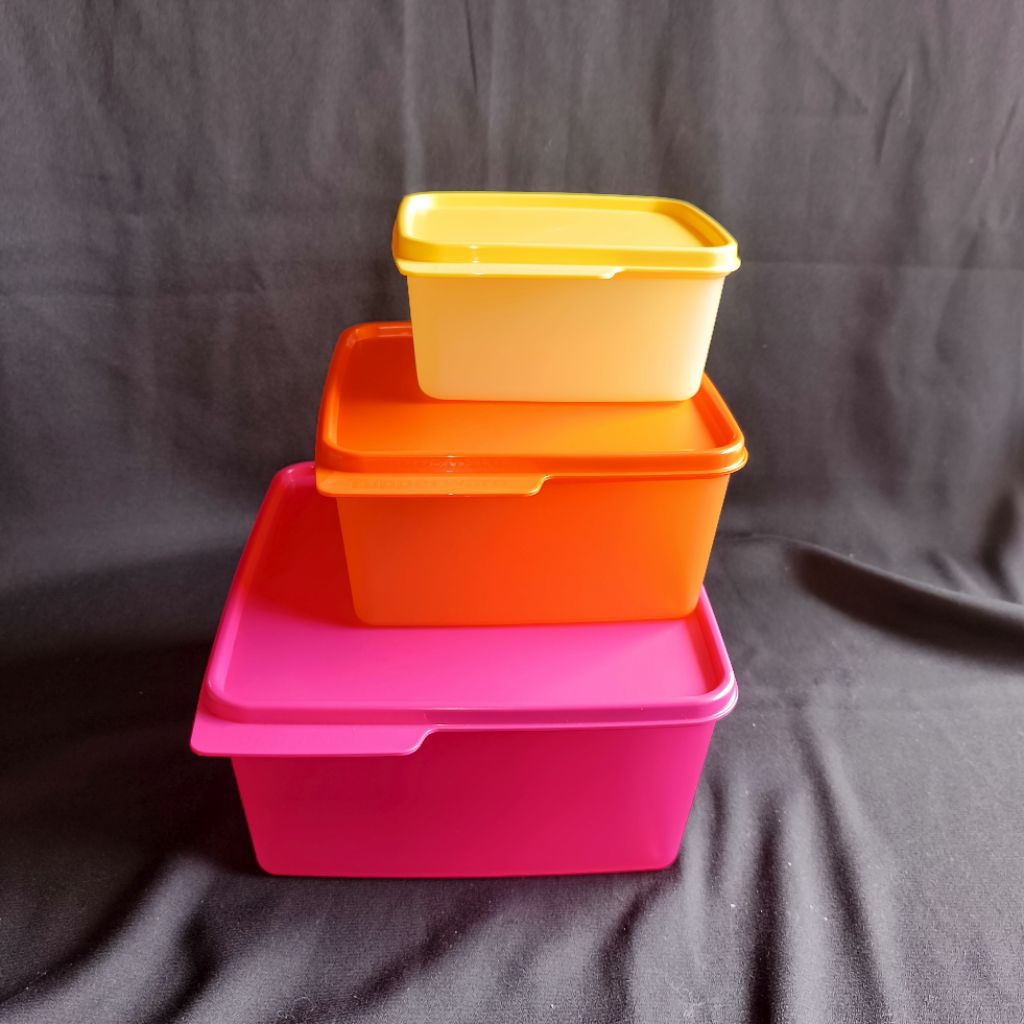 Cozy Nest (set atau eceran) | Wadah Makanan Serbaguna | Tempat Penyimpanan Makanan | – Tupperware – 