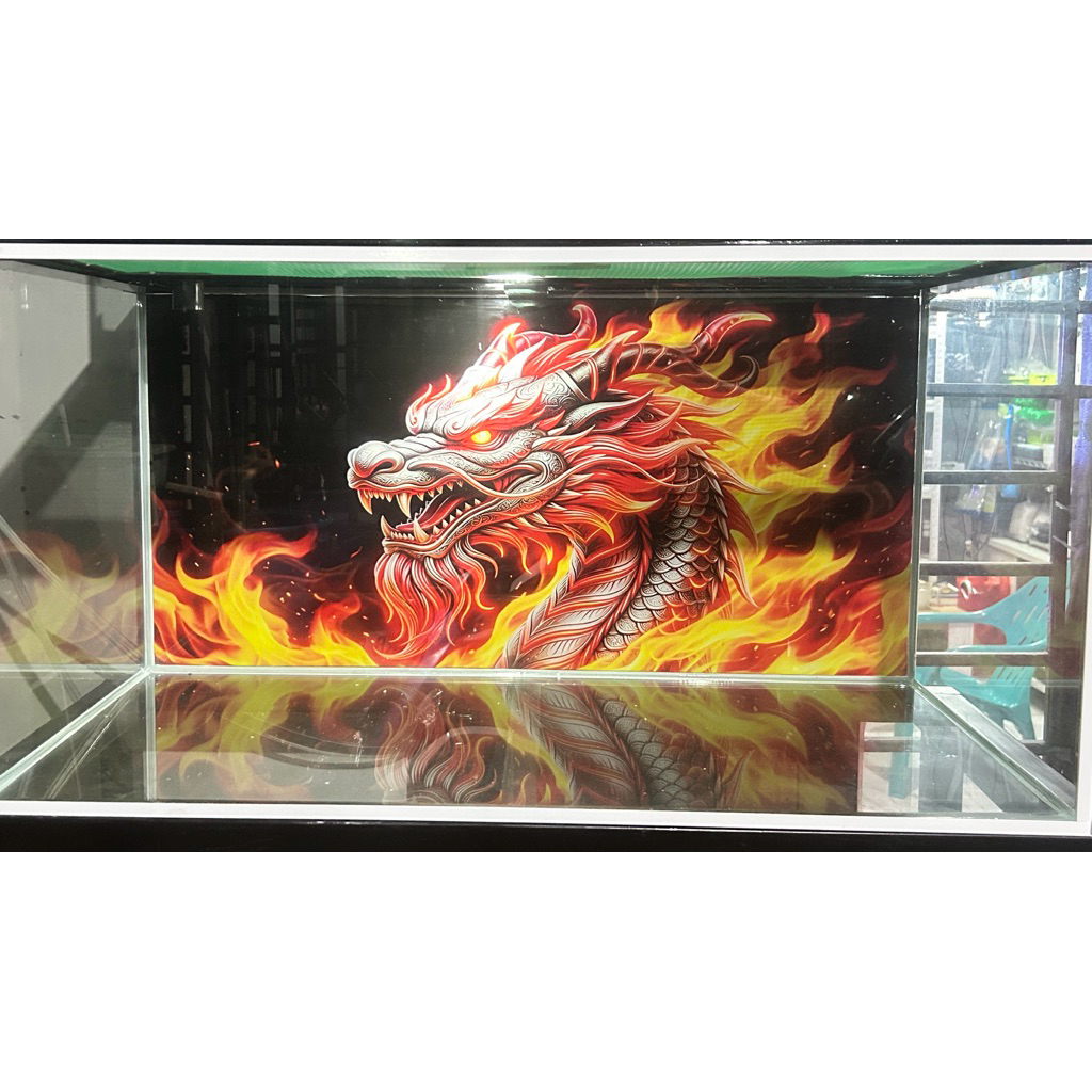 Stiker background Aquarium motif Naga Api