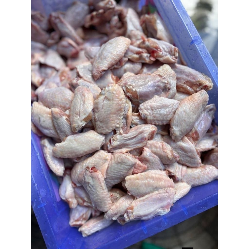 Sayap ayam tengah segar beku / middle wings 1kg / tengah sayap ayam