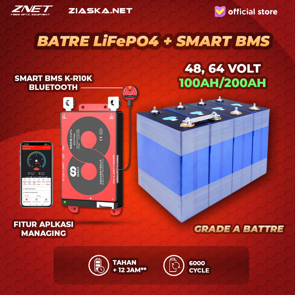 [NEW KHUSUS KARGO] Lifepo4 12V 24V 48V 100Ah 105Ah dengan DALY BMS SMART Active Pasive 4S 8S 16S Blu