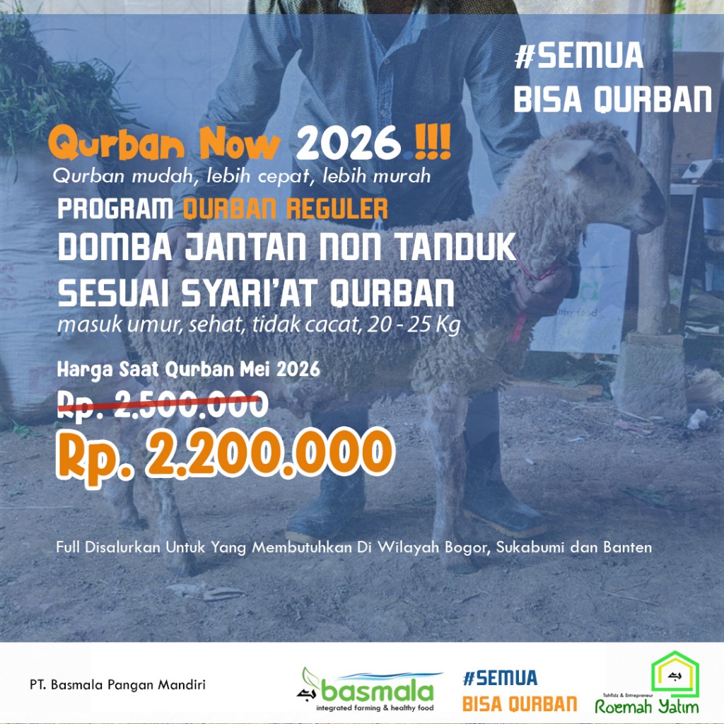 Qurban domba pasti jantan - Basmala Farm Full disalurkan