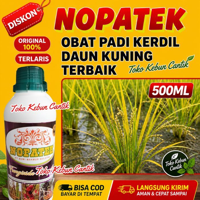 NOPATEK Obat Padi Kuning Kerdil | Pupuk Nutrisi Padi Penghijau Daun & Penyubur Tanaman