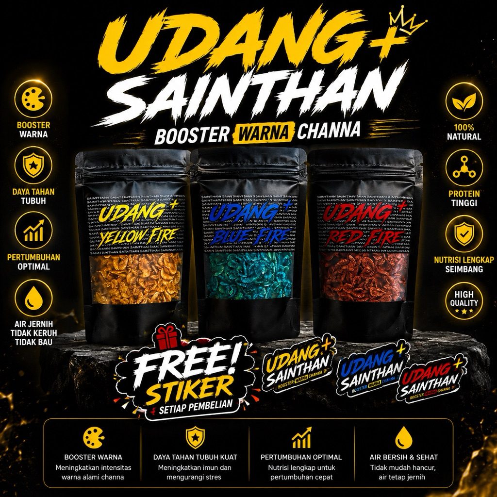 udang+ Blue SaintHan untuk Channa Baby untuk proges warna ikan channa Yellow maru, red maru, asiatic