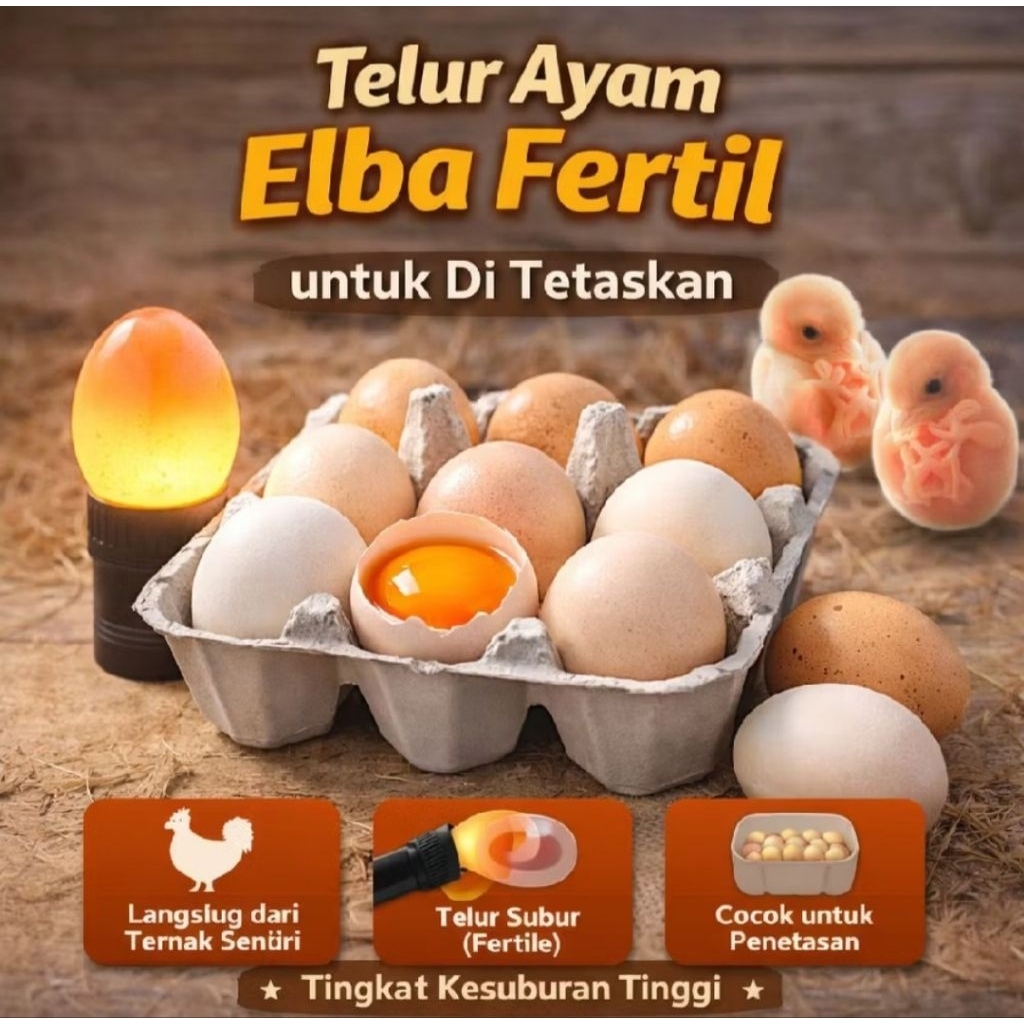 Telur Tetas Ayam Elba Unggul - Bibit Ternak Cepat Besar Hemat Pakan - Aman Kirim