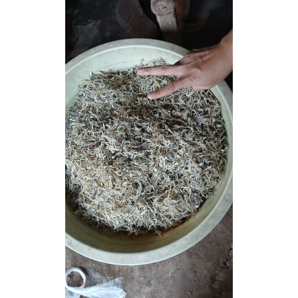 Teri nasi kering(tawar)