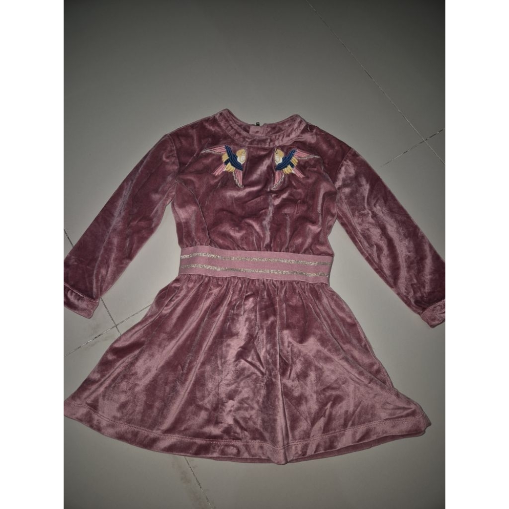 dress gingersnaps