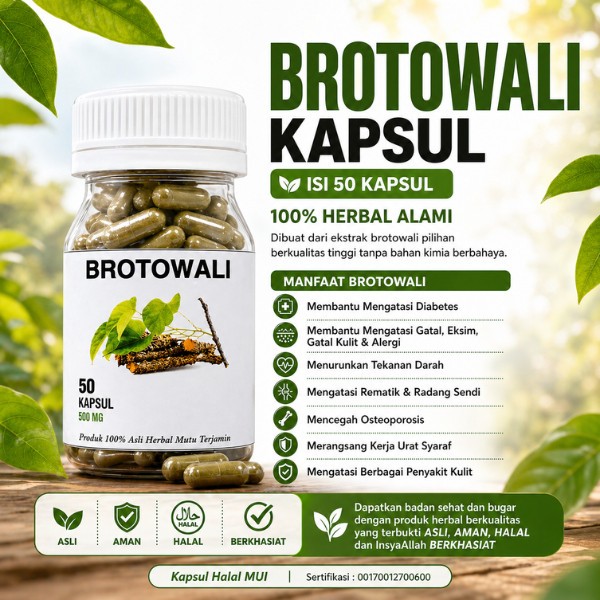 Kapsul BROTOWALI Isi 50 Obat Herbal Alami Alergi Gatal Gatal Detoksifikasi