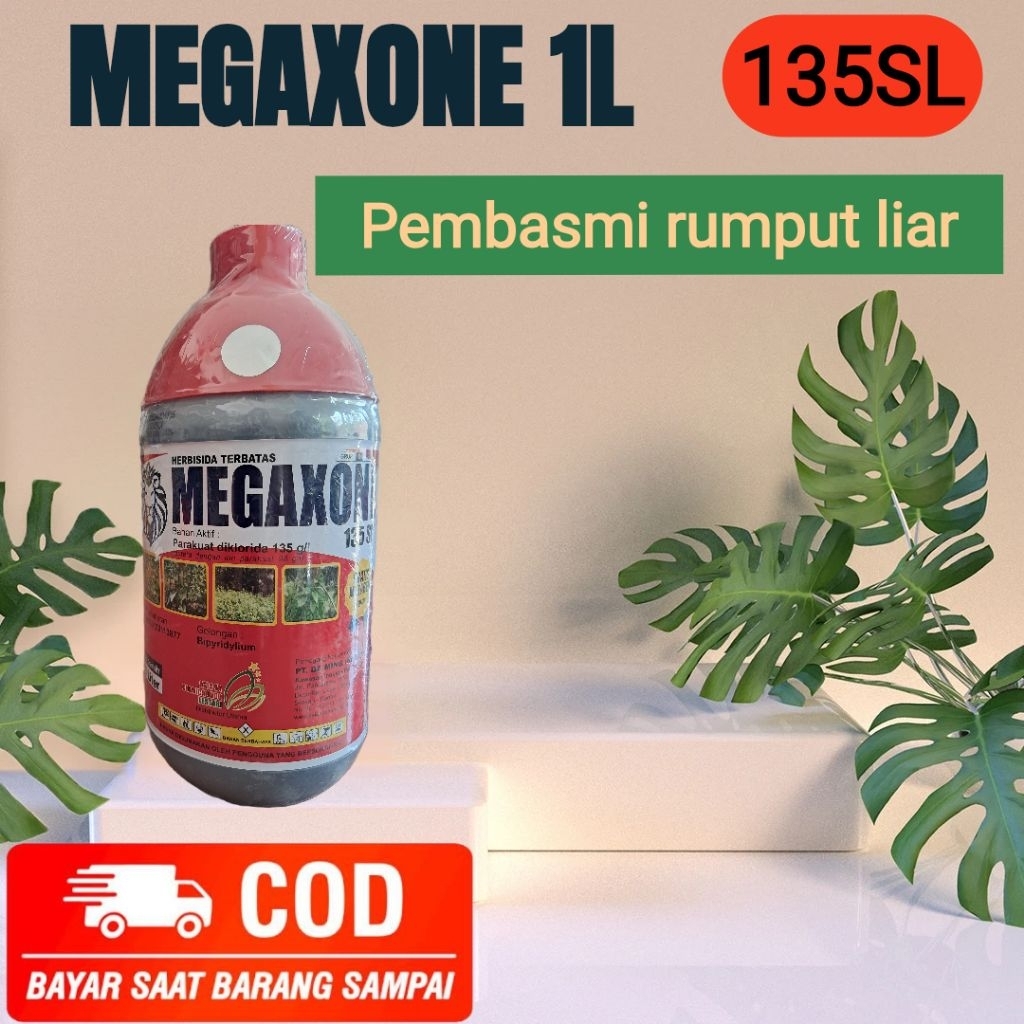 HEBRISIDA MEGAXONE 135 SL 1 Liter