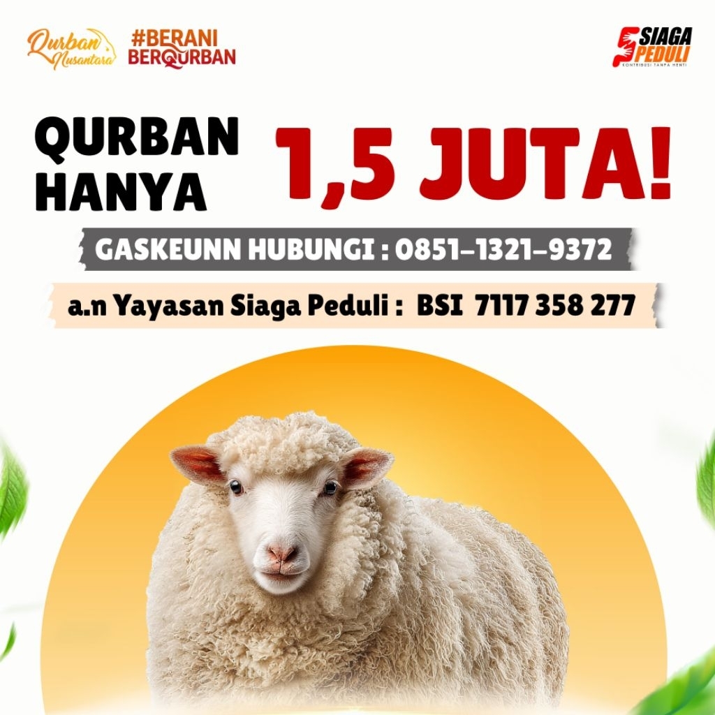 Domba Qurban Nusantara