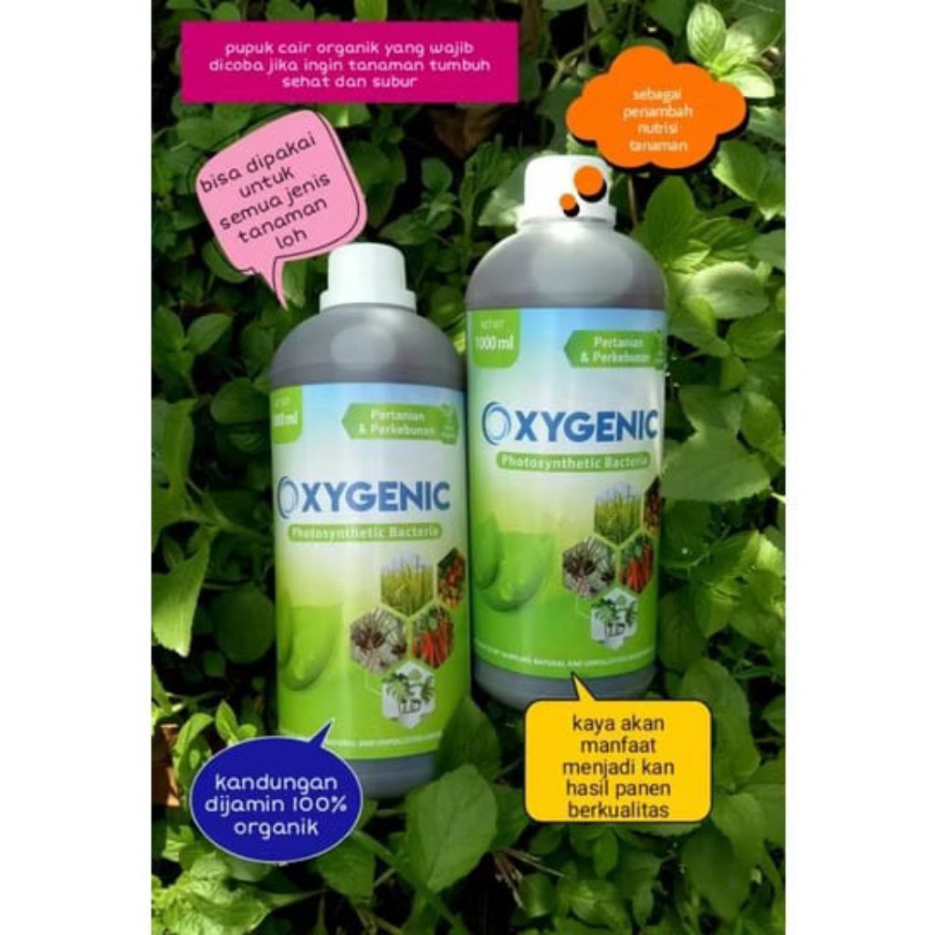 oxygenic PSB fotosintesis bakteri pertanian& perkebunan 100% organic kemasan 1 L
