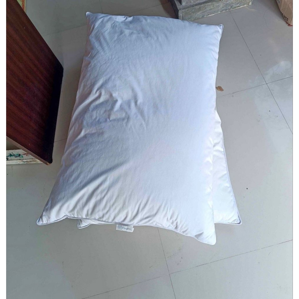 bantal bulu angsa / bantal goosedown ex hotel