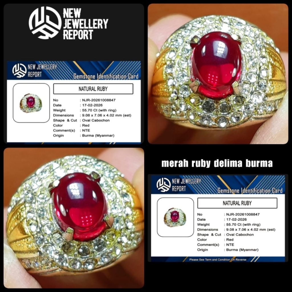Ruby pigeon super asli Burma Myanmar NTE + memo lab