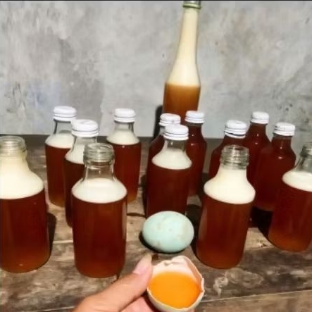 madu lebah dorsata tawon Gung original , madu hutan liar , 100% madu asli tanpa campuran diambil dar