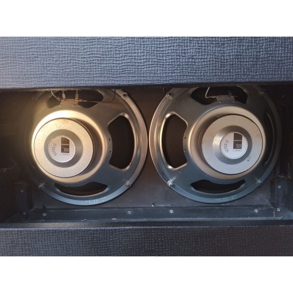Laney Lv300 Twin