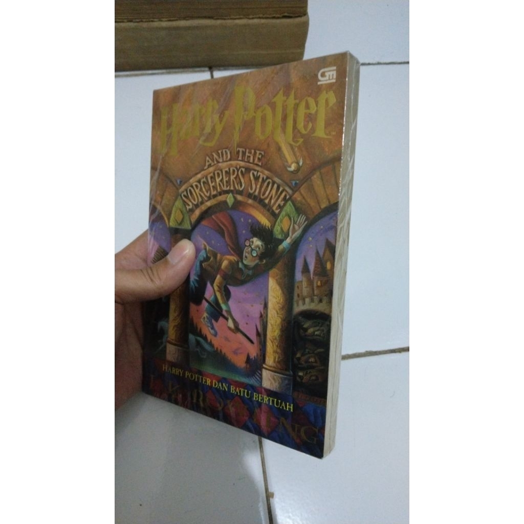 Harry Potter Novel Set